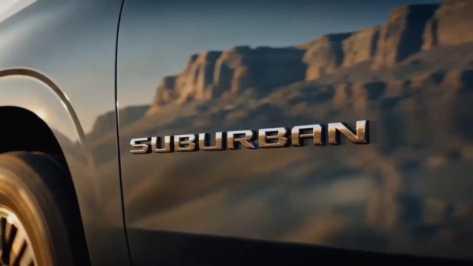 Badge and body panel detail against the landscape